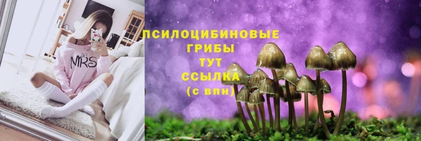 ешки Алексеевка