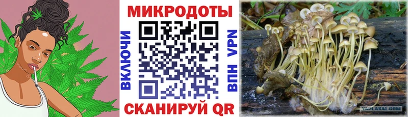 Галлюциногенные грибы Cubensis  Алупка 